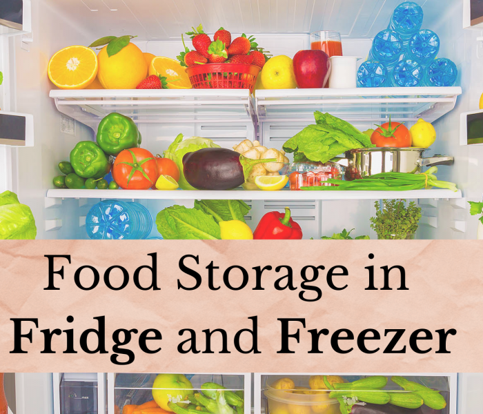 Food Storage in Fridge and Freezer